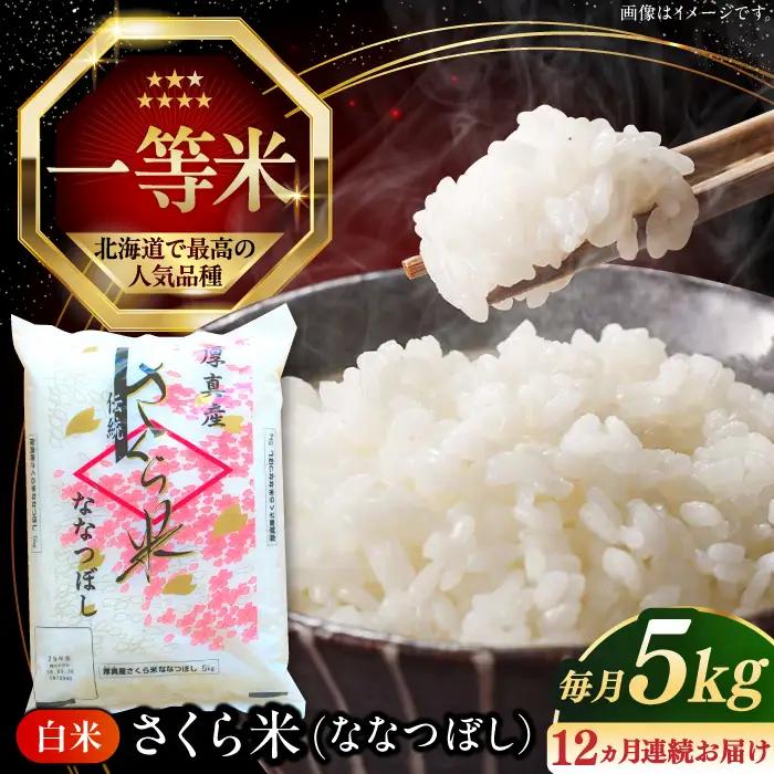 【12回定期便】 ななつぼし さくら米 5kg 令和7年産 令和8年産 白米 精米 ブランド米 [AXAB007]