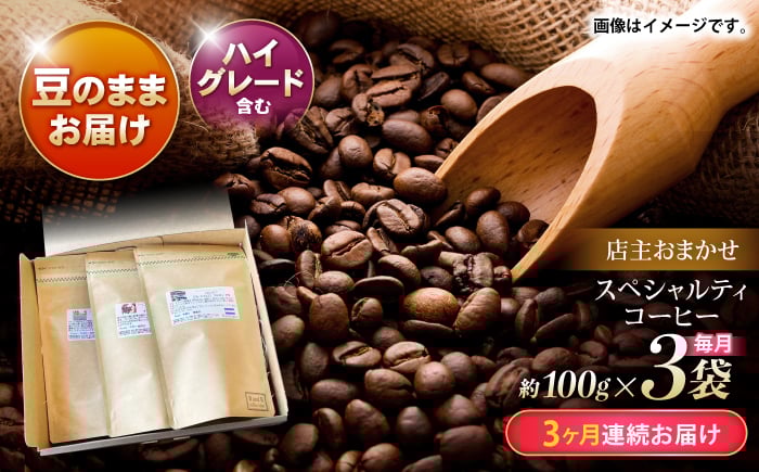 
            【3回定期便】コーヒー豆 100g×3 自家焙煎ハイグレードコーヒーを含むおまかせセット(豆のまま) / COFFEE ハイグレードコーヒー ブレンド コーヒー豆 豆 珈琲 こーひー コーヒー 焙煎 珈琲 飲み比べ 毎月届く / 諫早市 / R and R coffee labo [AHCJ039]
          