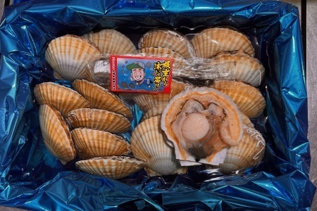 [12月21日決済分まで年内配送]【北海道根室産】活ホタテ貝20枚(計3.5kg～4kg) B-45016