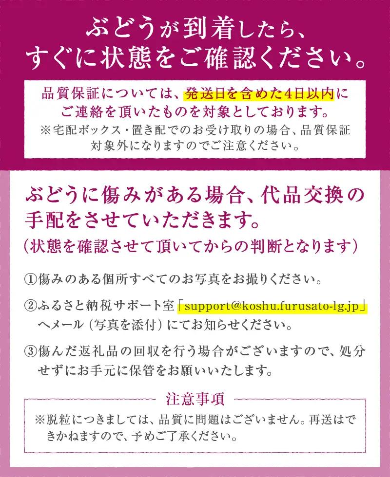 甲州市産 厳選 ぶどう 2種詰合せセット 2房 約1.0kg【2026年発送】（APX）B-199 シャインマスカット 黒ぶどう フルーツ