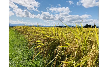 米食味鑑定士厳選新庄産米「つや姫」2kg、「雪若丸」2kgセット 山形県 新庄市 F3S-0159