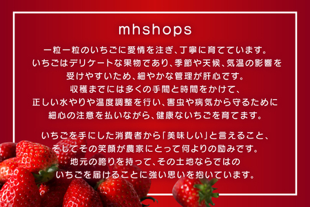 【期間限定発送】 いちご 完熟 あまおう 約270g 4p [mhshops 福岡県 筑紫野市 21761028]