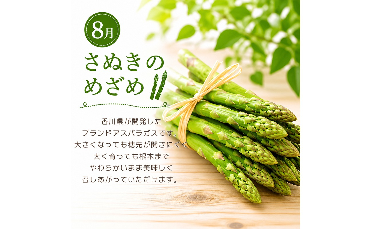 定期便 3回 シャインマスカット 桃 アスパラ ぶどう さぬきのめざめ アスパラガス 果物 野菜 フルーツ 旬 旬のフルーツ 贈答用 ギフト プレゼント 香川県 丸亀市