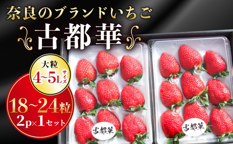 
                  いちご 古都華カンパニー 大粒 ことか 18~24粒 1セット 4~5Lサイズ 古都華 化粧箱 数量限定 苺 イチゴ 季節限定 旬 フルーツ 果物 スイーツ スムージー ケーキ 産地直送 新鮮 贈答 お歳暮 ギフト プレゼント 奈良県 奈良市
                