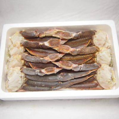 ふるさと納税 阪南市 ●期間限定【10月10日より順次発送】生ずわい蟹 5Lサイズ 3kg(6〜8肩)