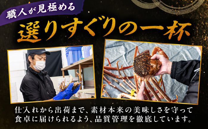 【先行予約/11月18日より順次配送】越前がに 700g×2杯 茹で 福井県産ズワイガニ / かに カニ 蟹 越前ガニ ズワイガニ ボイル / 小浜市 / 一進わかさ【配送不可地域：北海道・沖縄・離島