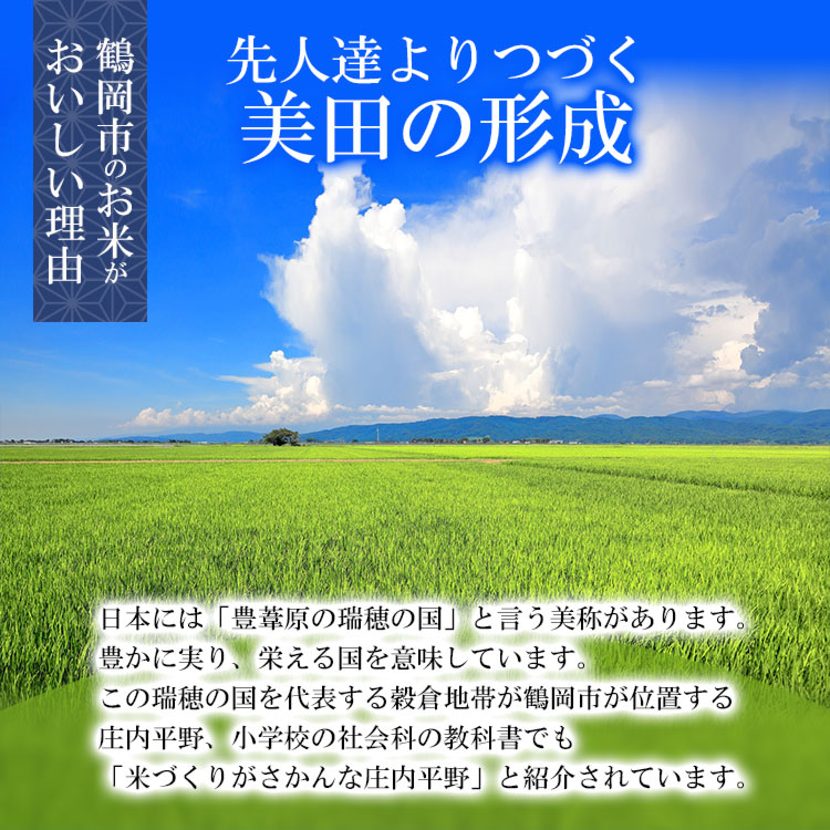 【令和7年産】 特別栽培米 つや姫 玄米 10kg（5kg×2袋）　山形県産　| つやひめ 10キロ 米 お米 コメ 食品 ご飯 ごはん 美味しい おいしい ブランド米 エコ包装 おすすめ 人気 山形県 鶴岡市 東北 国産 お取り寄せ 返礼品