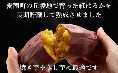 熟成 紅はるか 5kg M から 2L サイズ さつまいも サツマイモ いも 芋 焼き芋 やきいも 蒸し芋 冷やし焼き芋 蜜芋 スイートポテト さつまいもスープ 芋ご飯 さつまいもチップス 天ぷら お