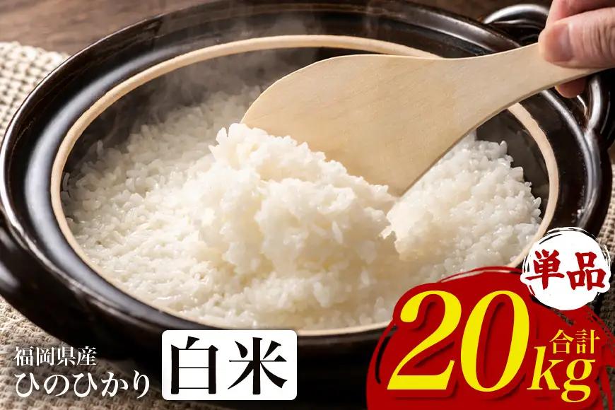 【ふるさと納税】ひのひかり 米 お米 白米 20kg 20キロ 福岡県産 うきは市 国産 精米 ご飯 ごはん おにぎり お弁当 人気 おすすめ 家庭用 送料無料 新米 ストック 厳選 農家直送 大容量【JA福岡くるめ にじの耳納の里】