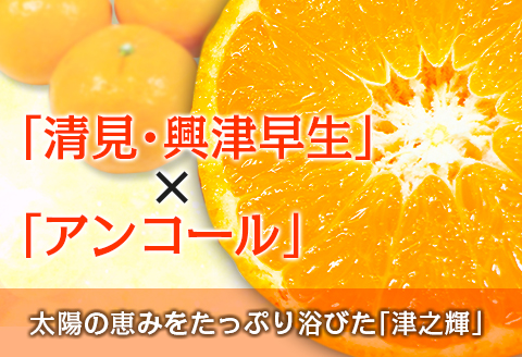 先行予約 訳あり 数量限定 津之輝 つのかがやき 10kg以上 (5kg×2箱) フルーツ 果物 くだもの 柑橘 みかん 国産 食品 おすすめ 訳アリ ご家庭用 ご自宅用 B品 傷 おすそ分け デザー