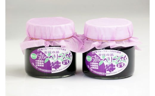 古代の風『無農薬ブルーベリージャム』Big 260g×2個＜1-131＞加工品 瓶詰 果物 くだもの 宮崎県西都市