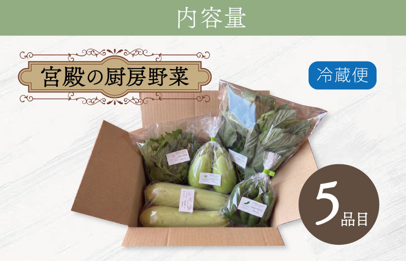宮殿の厨房野菜 おまかせ定期便 （3回） 六月農園 野菜 セット 産地直送 おまかせ 5品 季節の野菜 旬 詰め合わせ 人気 限定 有機栽培 オーガニック 明和町 国産 リピート 定期便
