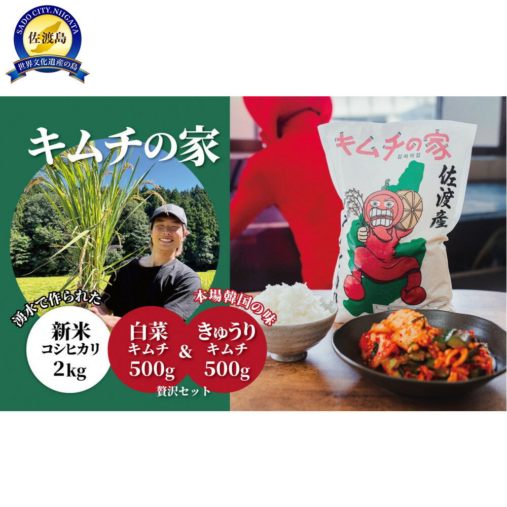 【ふるさと納税】キムチの家　白菜キムチ500g きゅうりキムチ500g食べ比べと佐渡産新米コシヒカリ2kgセット　 | お米 こめ 白米 食品 人気 おすすめ 送料無料
