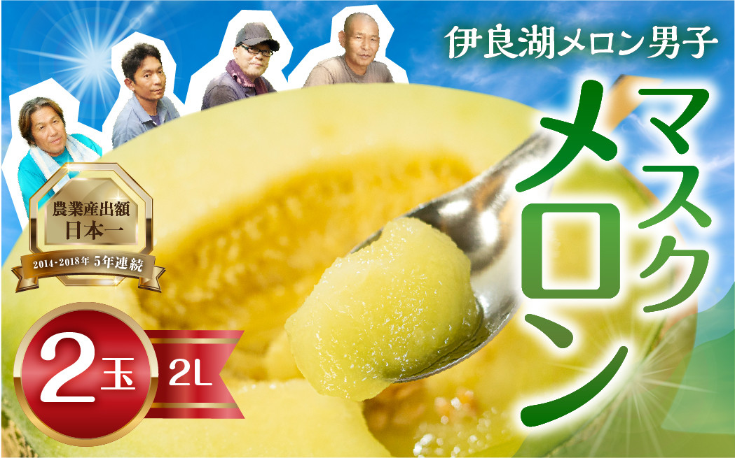
            先行予約 伊良湖産 マスクメロン 2玉 2Lサイズ 箱詰め メロン フルーツ 果物  6月下旬から8月中旬お届け お取り寄せ 渥美半島 田原市 産地直送
          