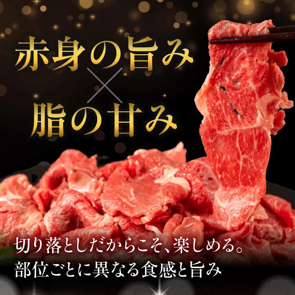 飛騨牛 A5 切り落とし｜飛騨牛