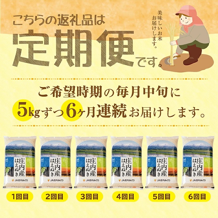 【定期便】はえぬき5kg×6ヶ月連続(5月～10月)