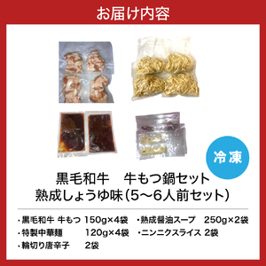 【鉄板将軍】黒毛和牛　牛もつ鍋セット　熟成しょうゆ味（5～6人前セット）【大阪府吹田市】