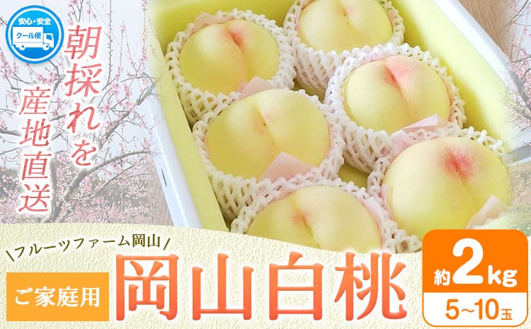 
                  桃 もも【2026年先行予約】桃 旬 岡山白桃 旬の桃 ご家庭用 2kg (5～10玉) フルーツファーム岡山《2026年6月下旬-8月下旬頃出荷》岡山県 浅口市 送料無料 フルーツ モモ 果物 青果 旬 国産 岡山県産【配送不可地域あり】
                