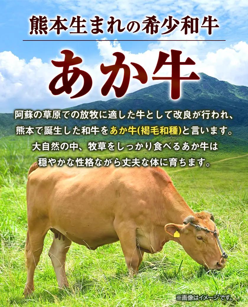 あか牛 切り落とし 3kg 6ヶ月定期便 五右衛門フーズ 《お申込み月の翌月から出荷開始》 あか牛