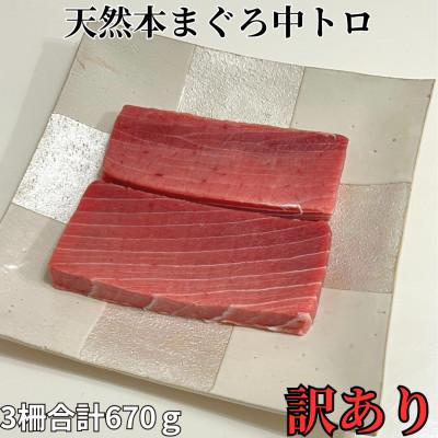ふるさと納税 三浦市 天然本鮪　中トロサク　アイルランド産(訳アリ)3柵