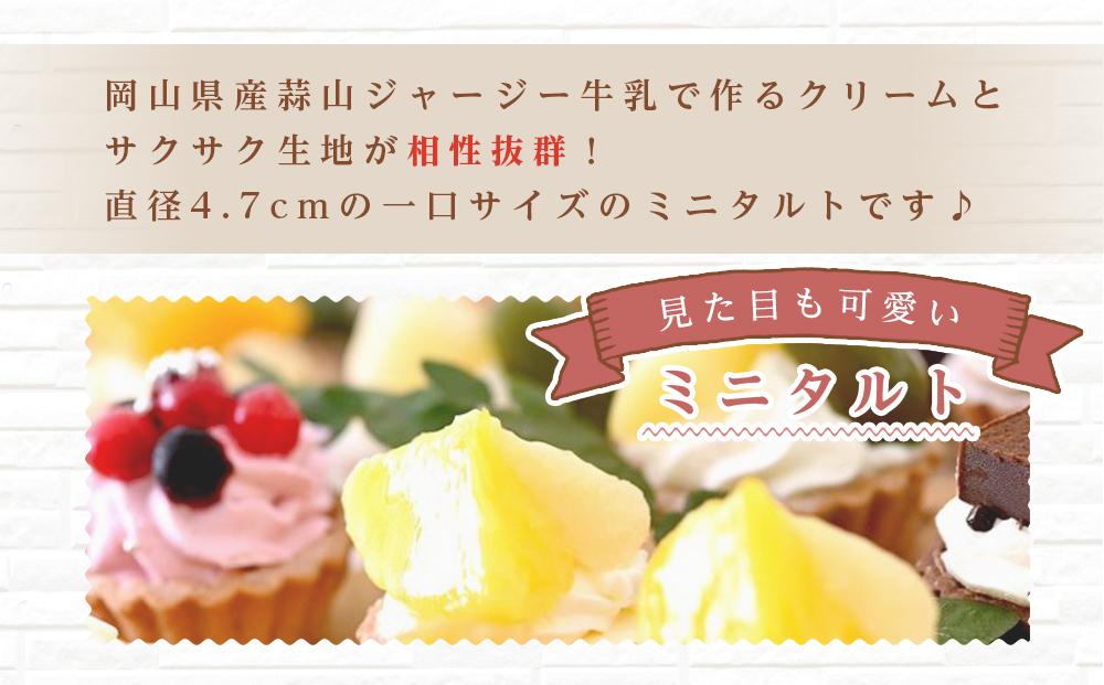 定期便 5ヶ月 フレッシュ タルト 専門店 STYLE 岡山みに たると 厳選 5種 20個入 お菓子 ケーキ タルト スイーツ 合せ [No.5220-1500]