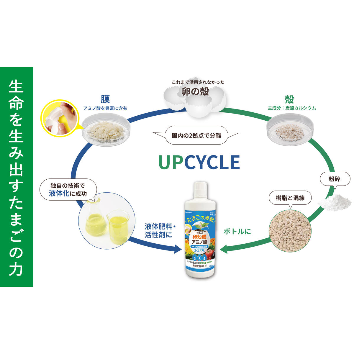 「たまごの液肥」オーガナブル (すべての家庭園芸用) 800ml 2本セット ENEGGO株式会社 肥料 サステナブル 園芸 ガーデニング 野菜 V6-1_イメージ2