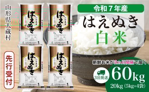 ＜令和7年産米先行受付＞ 大蔵村産 はえぬき 【白米】 定期便 60kg （20kg×２ヶ月間隔で3回お届け）＜配送時期選べます＞