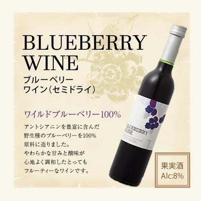 ふるさと納税 久留米市 女性に大人気!ワインの赤ちゃん(500ml×2本)ブルーベリーワイン(500ml×1本)の3本セット |  | 03