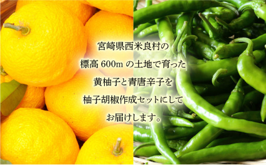 黄ゆず胡椒作成セット
