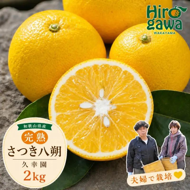完熟 さつき 八朔 2kg / はっさく 甘い 和歌山 柑橘 ※2027年4月上旬～5月上旬頃に順次発送予定 【hsk022-r-2A】