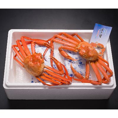 ふるさと納税 射水市 【富山県新湊産】 ボイル紅ズワイ蟹姿(約700g)×2杯 |  | 01