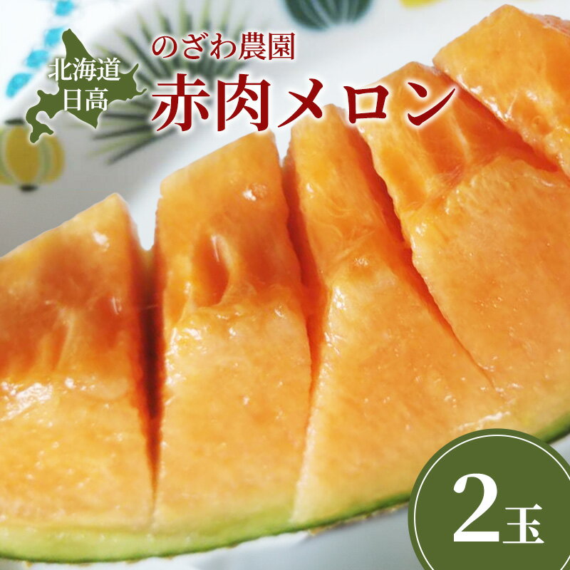 【ふるさと納税】【 ふるさと納税 】のざわ農園 日高 赤肉メロン 2玉 めろん メロン 赤い 甘い 夏 フルーツ 果実 ルピアレッド 糖度 甘み 濃厚 肥料 贈り物 お中元 お歳暮 常温 冷蔵庫 家族 デザート のざわ農園 北海道 日高町　お届け：2025年7月中旬～8月下旬まで