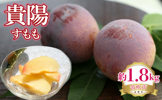【2026年発送★先行予約】貴陽（すもも）　約1.8kg 222-004-26y