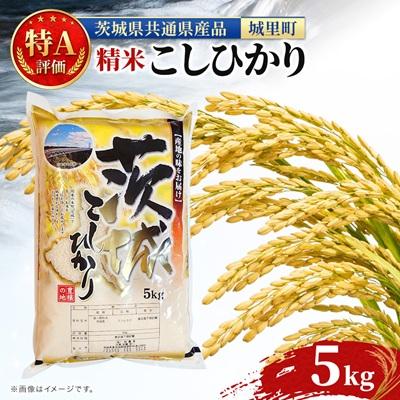 ふるさと納税 水戸市 【令和8年産】特A評価 茨城県産 お米 コシヒカリ 精米 5kg (茨城県共通返礼品/城里町)