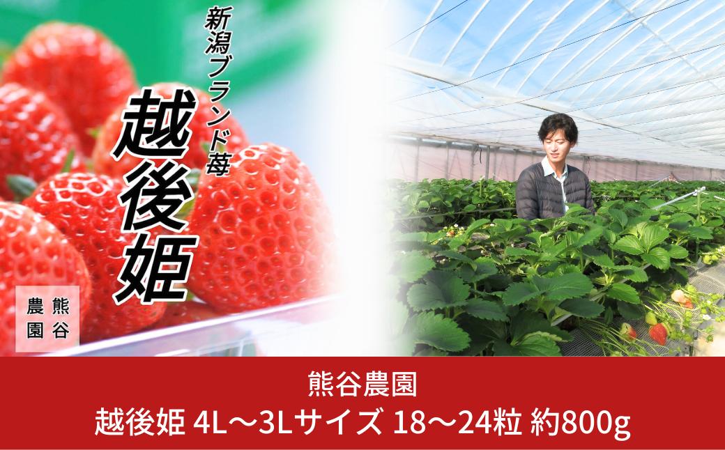 
越後姫 4L～3Lサイズ 18～24粒 約800g 大粒 いちご [2024年12月～2025年2月発送予定] [熊谷農園] 【017S124】
