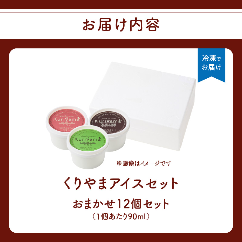 くりやまアイス12個おまかせセット 各90ml アイスクリーム 酪農家 手作り 地元産 お茶 フルーツ 身体に優しい 笑顔 幸せ