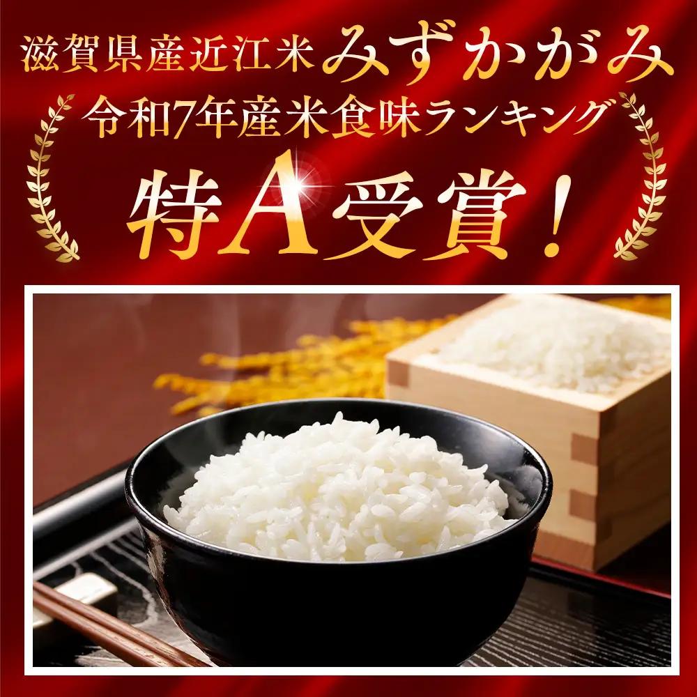 【6ヶ月定期便】【令和7年産】近江米みずかがみ白米5kg (173433-40038265)
