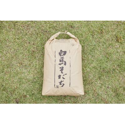 ふるさと納税 白馬村 【令和7年産】『白馬そだち』長野県白馬村産　お米　ゆうだい21　30kg(玄米)