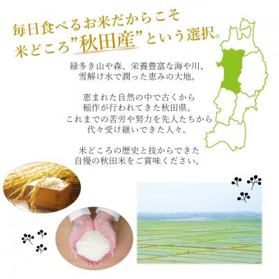 ふるさと納税 能代市 食べ比べ 精米セット ひとめぼれ&あきたこまち 各5kg 計10kg[No.5335-0008] |  | 01