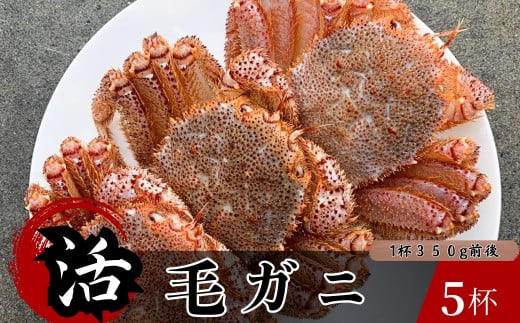 【4/8まで】北三陸洋野町産活毛ガニ 350g前後×5杯