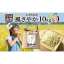 【ふるさと納税】無地熨斗 令和6年産 風さやか 5分づき米 10kg×1袋 長野県産 米 お米 ごはん ライス 分つき米 農家直送 産直 信州 人気 ギフト 平林農園 熨斗 のし 名入れ不可 送料無料 長野県 大町市 | お米 こめ 白米 食品 人気 おすすめ 送料無料