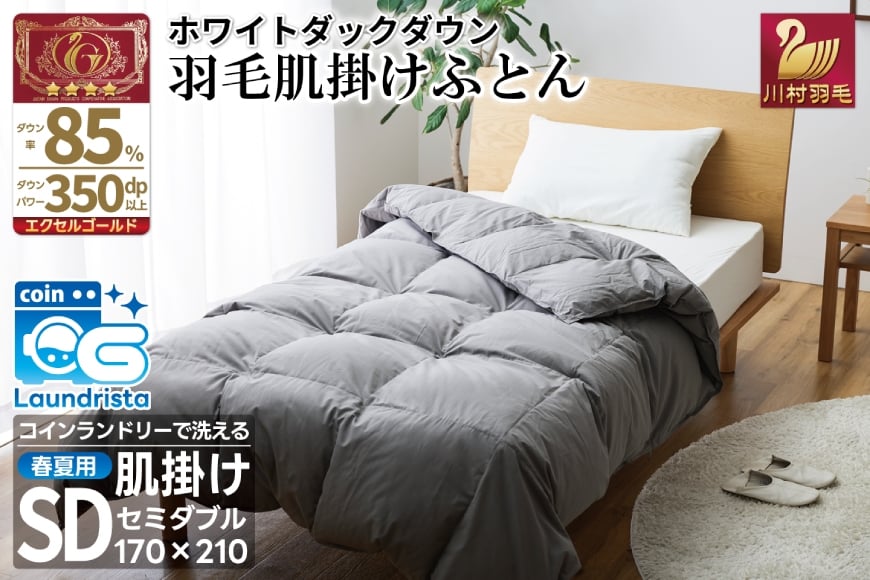 
            【春夏用】洗える！ 羽毛 肌掛け布団 セミダブル ホワイトダックダウン 85%  (無地 グレー) 羽毛布団 布団 ふとん 羽毛 肌掛け 掛け布団 寝具 夏用 日本製 国産 抗菌防臭 無地 コインランドリー レビューキャンペーン [川村羽毛 山梨県 韮崎市 20745099]
          