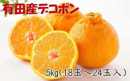 ［お味濃厚］紀州有田産のデコポン約5kg(18玉～24玉入り・青秀以上)★2026年2月中旬頃より順次発送［TM26］