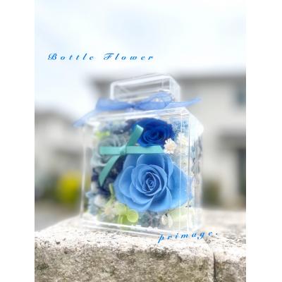 ふるさと納税 新宮町 ボトルフラワー(5色から1つ選択).AC299 |  | 03