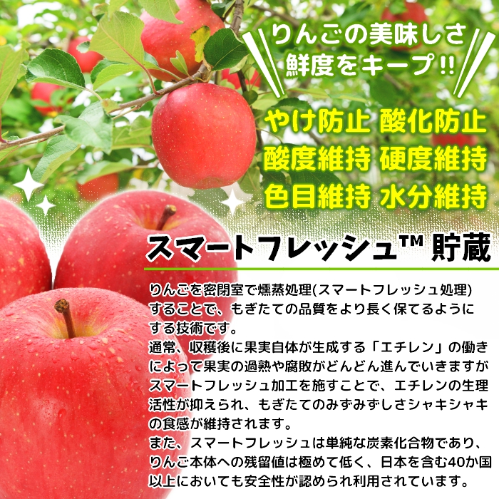 家庭用 りんご ふじ (有袋) スマートフレッシュ? 3kg (9玉から12玉入り 3kg 1箱) 見た目にわけあり 味はそのまま｜青森 つがる 訳あり 訳アリ リンゴ 青森りんご フルーツ 果物 [