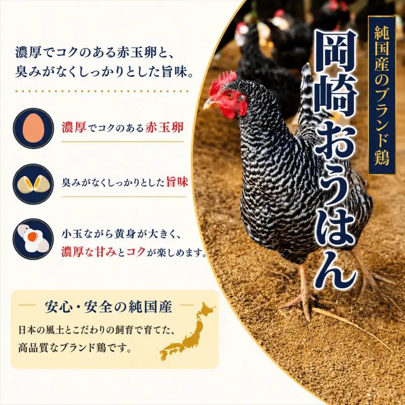 卵 朝採れ 平飼い 自然卵 30個 割れ補償付き