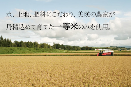 ななつぼし 定期便 10kg × 3回便 『一等米のみを使用』 ≪令和7年産 ≫ 城守商店 | 3ヶ月 新米 令和7年 米 お米 こめ コメ 10kg ブランド米 ごはん ななつぼし 精米 白米 北海