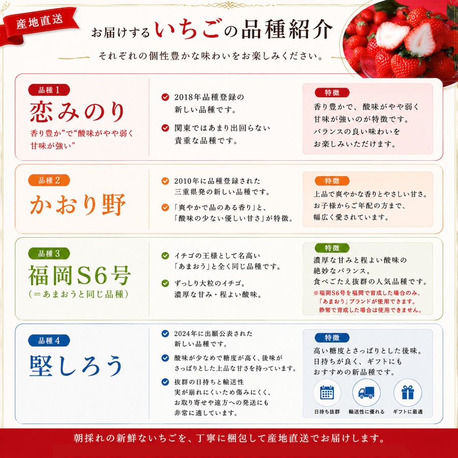 【先行予約＿2027年出荷分】完熟いちご280g 2パック（厳選DXパック）　【 苺 いちご イチゴ かおり野 恋みのり 産地直送 旬 果物 フルーツ くだもの 静岡県 伊豆 南伊豆町 期間限定 】　