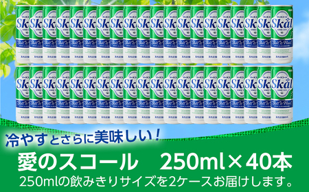 【お歳暮】『愛』を込めて・・・愛のスコール250ml×40本(2ケース)≪11月17日～12月21日お届け≫_13-2305-WG_(都城市) 炭酸飲料 スコール 250ml 20本 2ケース