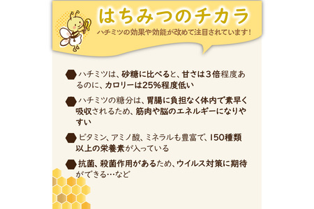 【国産 ハチミツ】KYOTOTANGOHONEY森の百花蜜純粋天然ハチミツ３００ｇ（瓶） 蜂蜜・はちみつ・国産・天然・ハチミツ